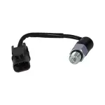 670023 - : Back Up Light Switch for ROSTRA Image