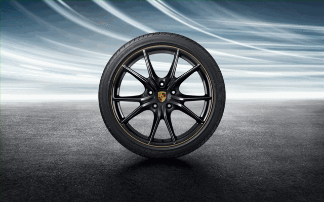 9920448205624K - Exterior: Rim Trim Strips - Aurum for Porsche: 718 Boxster, 718 Cayman, 718 Spyder, 911 Image