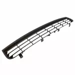 2L7Z17D635AAA - : Bumper Grille for Ford Image