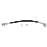 19536952 - : Hose for GM Image
