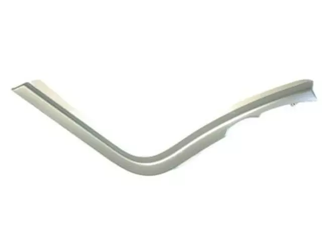 Trim Molding - Ford (DT4Z-78061A16-AA)