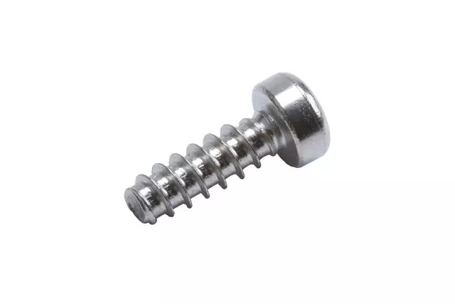 Mass Airflow Sensor Bolt - GM (11548524)