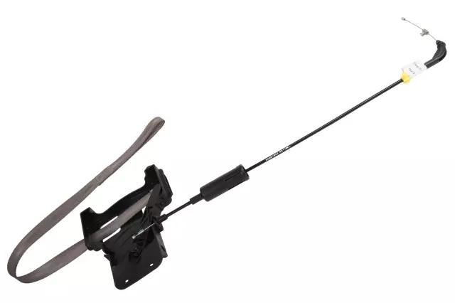 Pull Strap - GM (84601843)