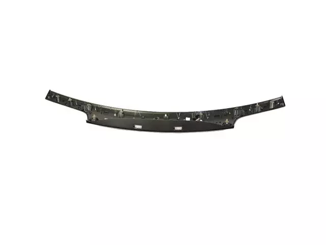 License Lamp Applique - Mopar (1WD54KGZAF)