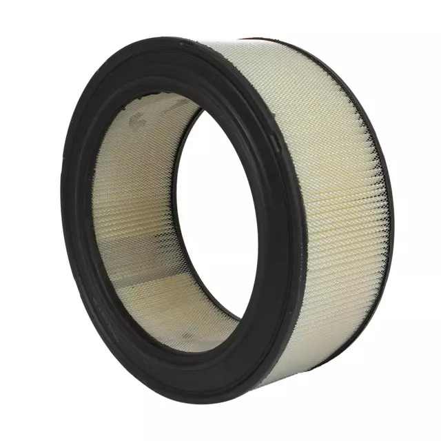 Air Filter - Ford (F1UZ-9601-A)