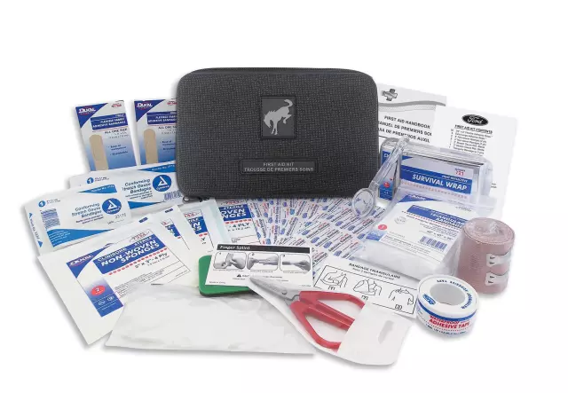VM1PZ19F515C - Interior: First Aid Safety Kit for Ford Image
