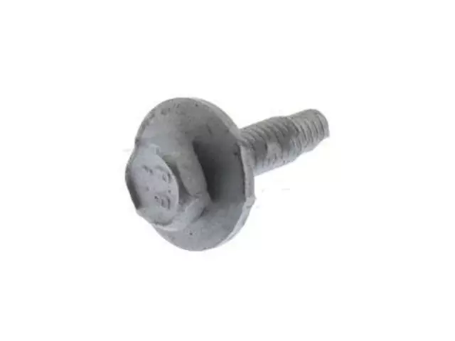 Door Window Glass Surround Channel Bolt - Ford (W505423-S439)