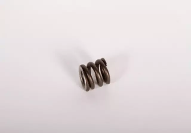 24207237 - : Automatic Transmission 1-2 Accumulator Piston Cushion Spring for GM Image
