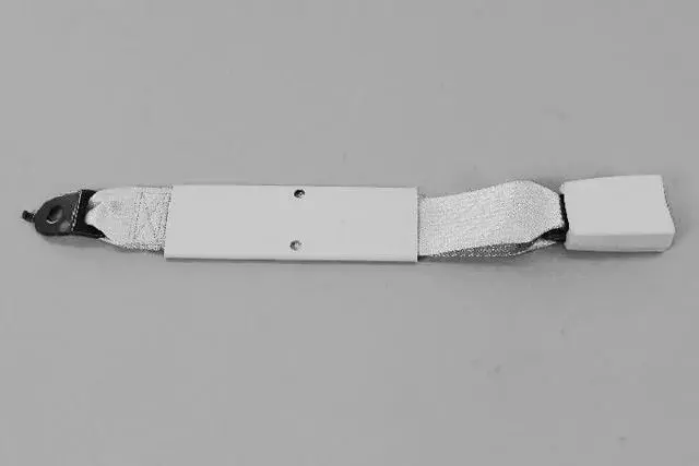 Buckle Assembly-S/Belt Buckle Assembly - Mopar (1XE661X7AA)