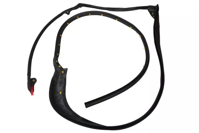 92280406 - Body: Door Weather-strip for Chevrolet: SS Image