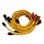 4042 - : Spark Plug Wire Set for ACCEL Image