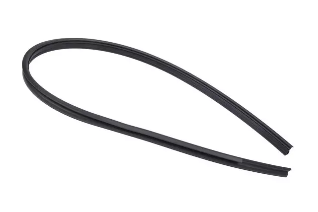 25904855 - Body: Drip Weather-strip for Chevrolet: Colorado | GMC: Canyon Image