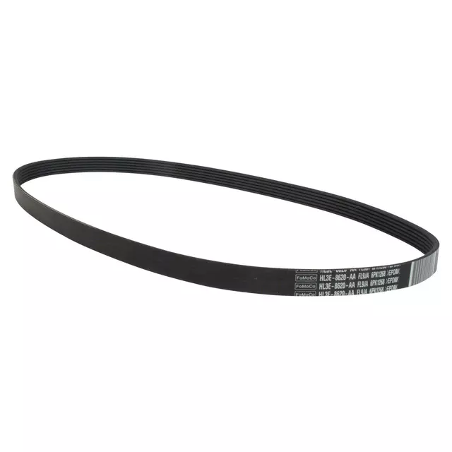 HL3Z8620A - : Serpentine Belt for Ford: Expedition, F-150 | Lincoln: Navigator Image