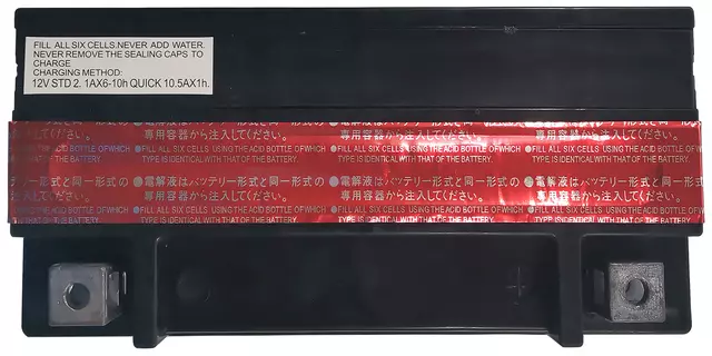 Vehicle Battery - ACDelco (ACTX24HLBS)