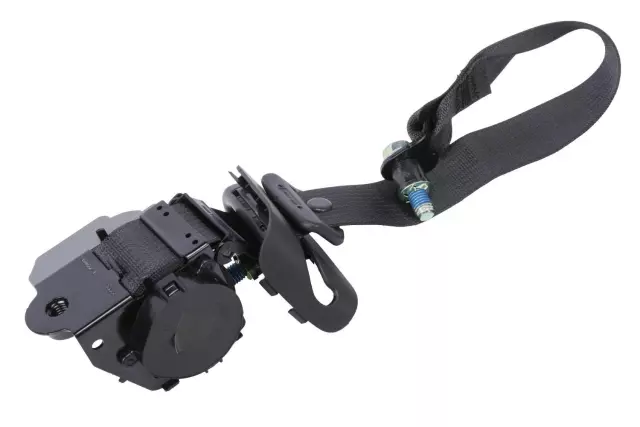 19258655 - Electrical: Outer Belt Assembly for GM Image