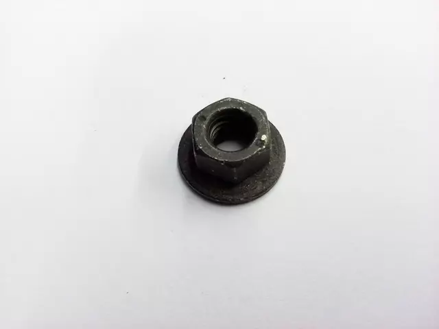 N90175205 - : Lift Gate Glass Nut for Volkswagen: Cabrio, Golf, Jetta, Touareg Image