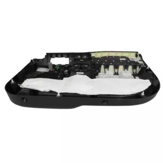 Panel Assembly Door Trim - Ford (JL3Z1823943RA)