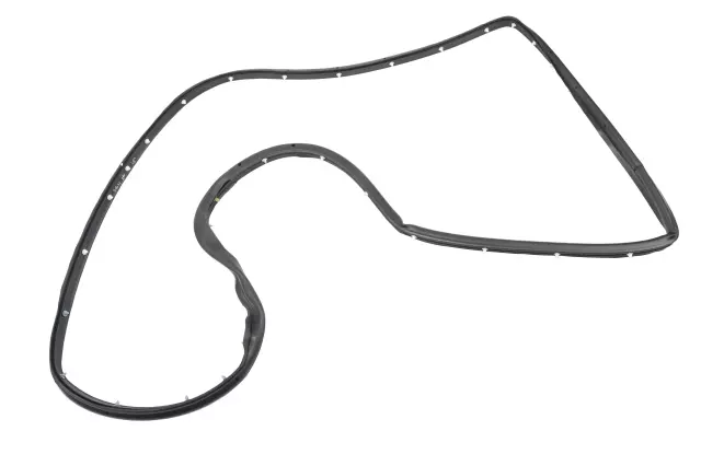 Rear Driver Side Door Weatherstrip - GM (84028332)