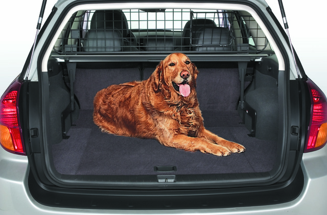 Dog Guard - W/O Moonroof - Subaru (F551SAG600)