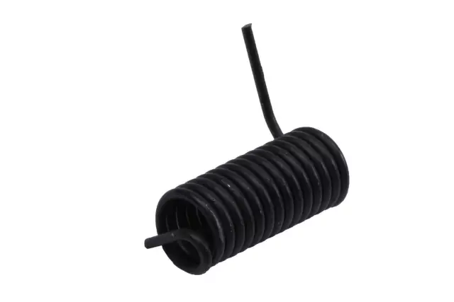 15244125 - Body: Door Assembly Spring for GM Image