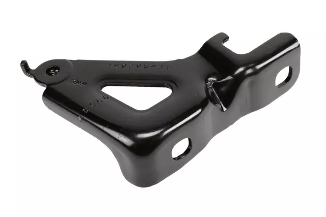 15939041 - Body: Lower Hinge for Chevrolet: Traverse Image