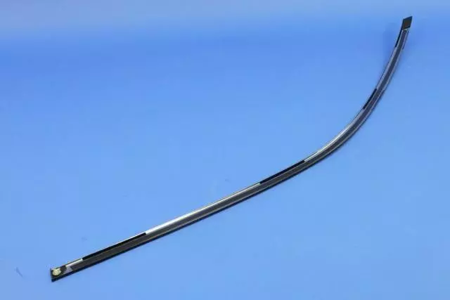 68224368AE - Body: Frame Molding for Chrysler: 300 Image