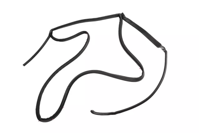 20929649 - Body: Door Weather-strip for Buick: Enclave Image