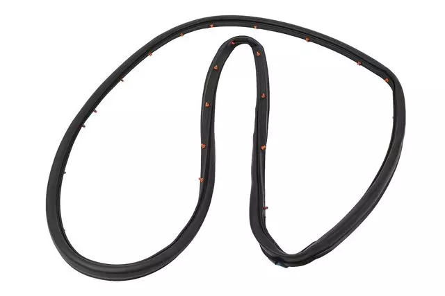 15290818 - Body: Surround Weather-strip for Chevrolet: Colorado | GMC: Canyon Image image