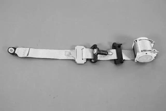 1BF011D5AE - Interior Trim: Rear Outer Seat Belt, Left for Chrysler: Aspen | Dodge: Durango Image