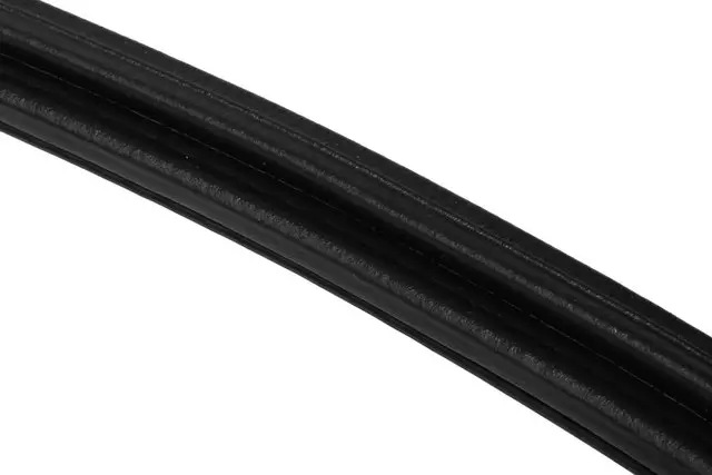 Side Door Window Weatherstrip - GM (22888209)