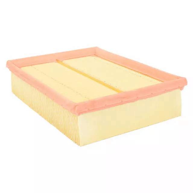 Air Filter - Ford (6E5Z-9601-GA)