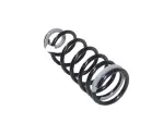 68506246AA - Rear Suspension: Rear Coil Spring, Left for Mopar Image