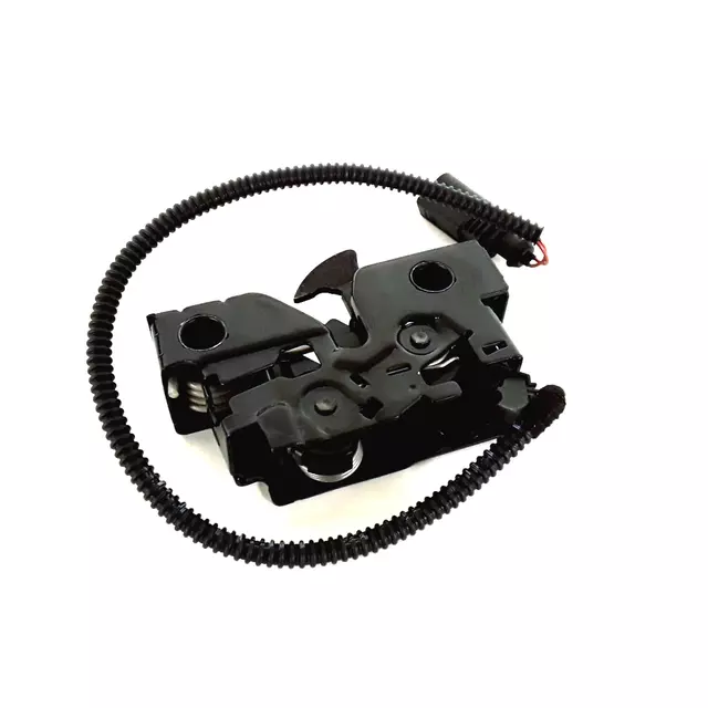 5G1823509D - Body: Lock &amp; Switch for Volkswagen: e-Golf, Golf, Golf Alltrack, Golf R, Golf SportWagen, GTI, Tiguan Image