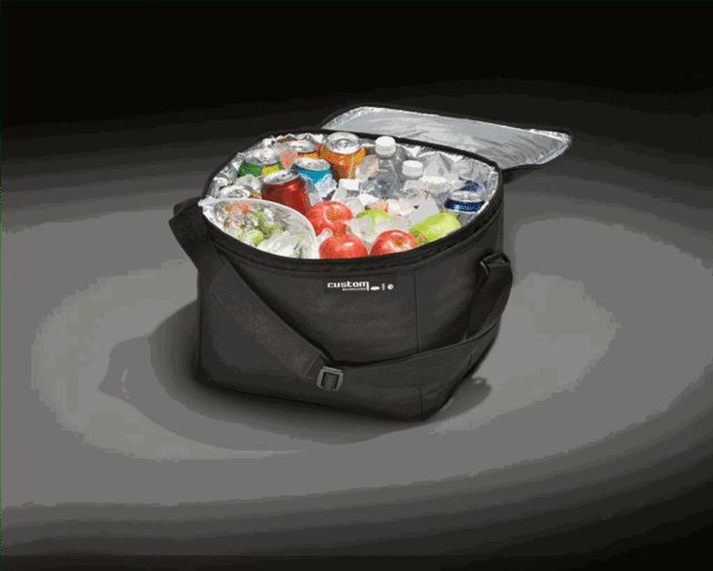 Cargo Organizer, Cooler Bag W/Strap - Ford (HE5Z-19H484-B)