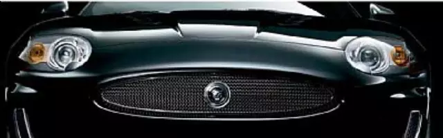 C2P17354 - : Mesh Grille - Bright Finish - Lower for Jaguar: XK Image