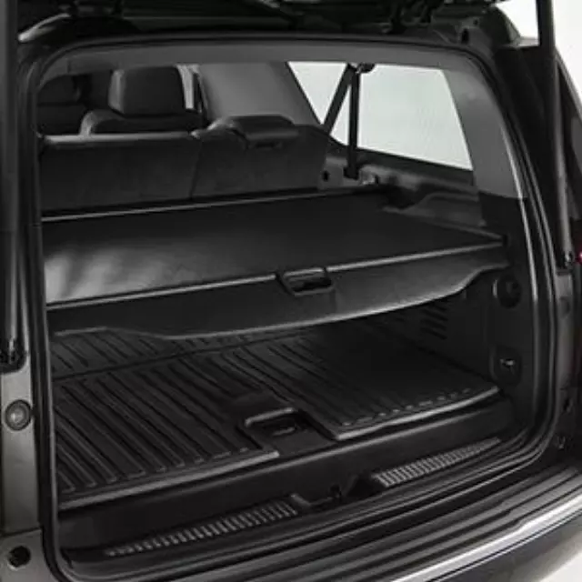 Cargo Area Security Enclosure - GM (22936583)