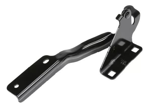 19317805 - : Part# 19317805 Driver Side Hood Hinge for Chevrolet: City Express Image