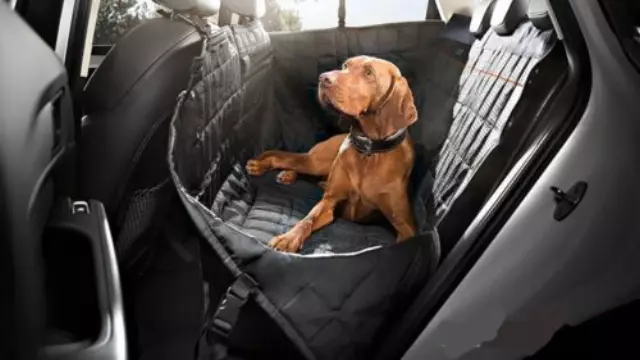 ZAW061678041 - Interior: 2022-2025 Audi - Rear Seat Protector for Audi: A3, A3 Quattro, A4 allroad, A4 Quattro, A5 Sportback, A6 allroad, A6 Quattro, A7 Sportback, e-tron GT, Q4 e-tron, RS e-tron GT, RS3, RS5 Sportback, S3, S4, S5 Sportback, S6 Image