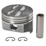 H273CP30 - : Engine Piston Set for SEALED POWER Image