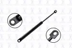 84421 - : Hood Lift Support for Focus Auto Parts Image