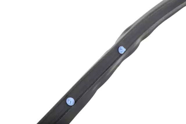 Door Weather-Strip - GM (84228141)