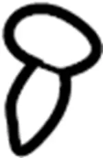 8760289911 - : Headrest Guide for INFINITI: G35 Image