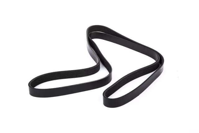 12605208 - : V-Ribbed Serpentine Belt for GM Image