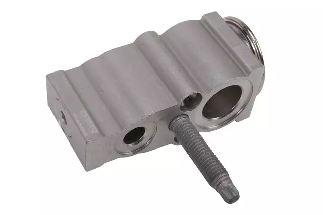 Expansion Valve - GM (84609902)