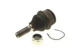 1015503 - : LEMFOERDER SUSPENSION BALL JOINTS -10155 03 for LEMFORDER Image
