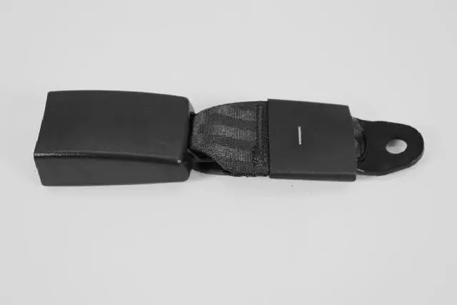 Rear Lap Buckle Seat Belt - Mopar (1AN361X5AA)