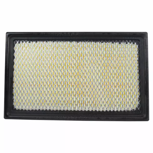 Engine Air Filter - Ford (1L2Z-9601-AA)