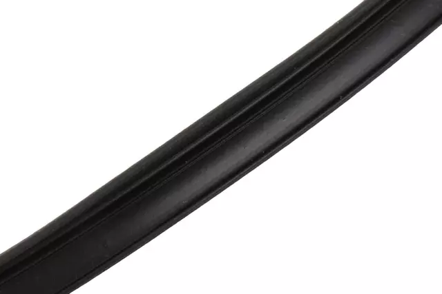 Rear Bumper Fascia Sealing Strip - GM (15881440)