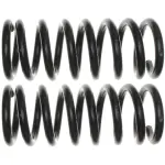 81466 - : Front Coil Spring Set for Moog Image