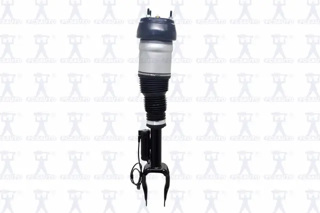 99062 - Suspension: Focus Auto Parts Air Suspension Strut for Focus Auto Parts Image